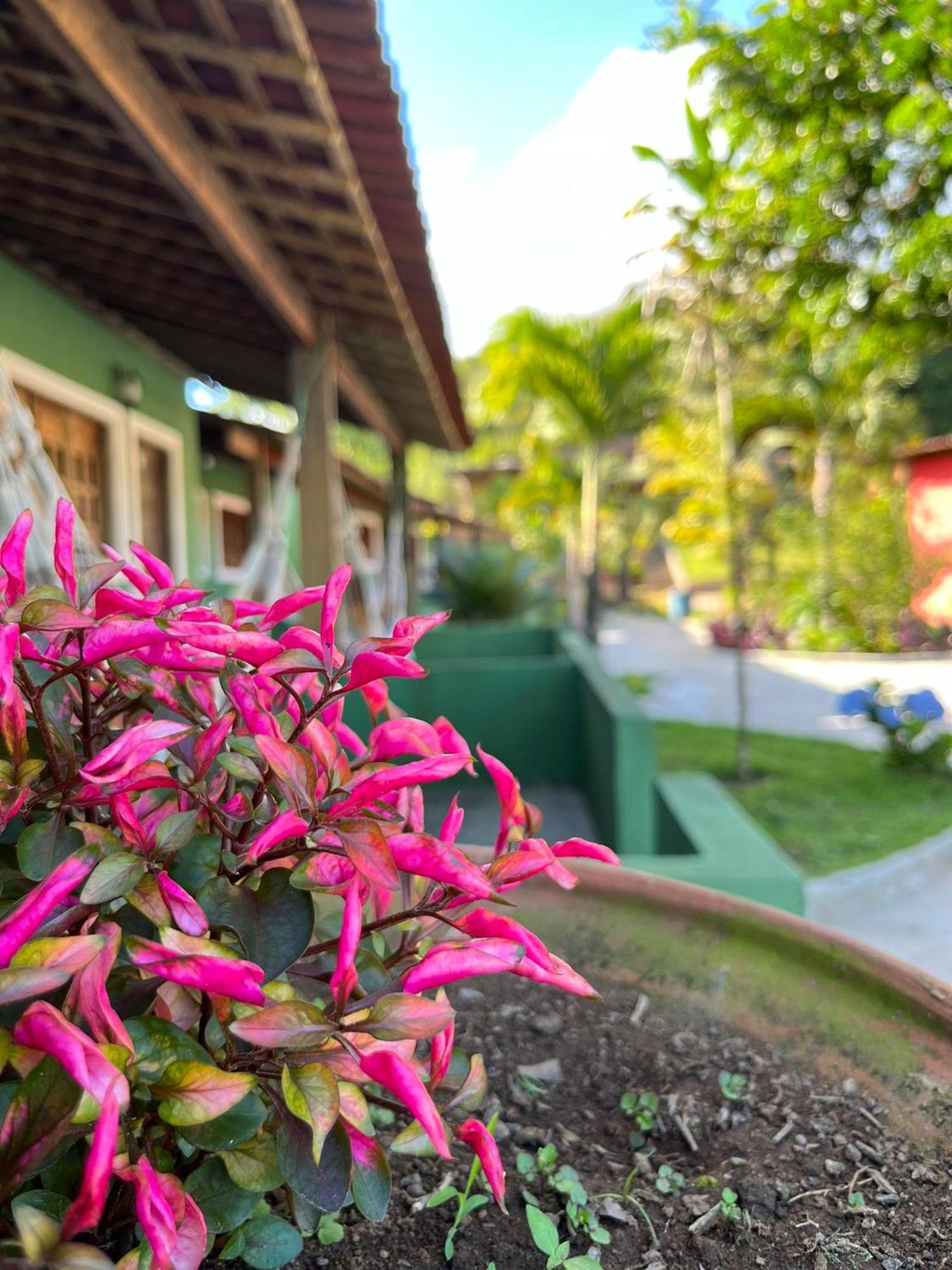 Pousada E Restaurante Alto Da Serra 博尼托 外观 照片