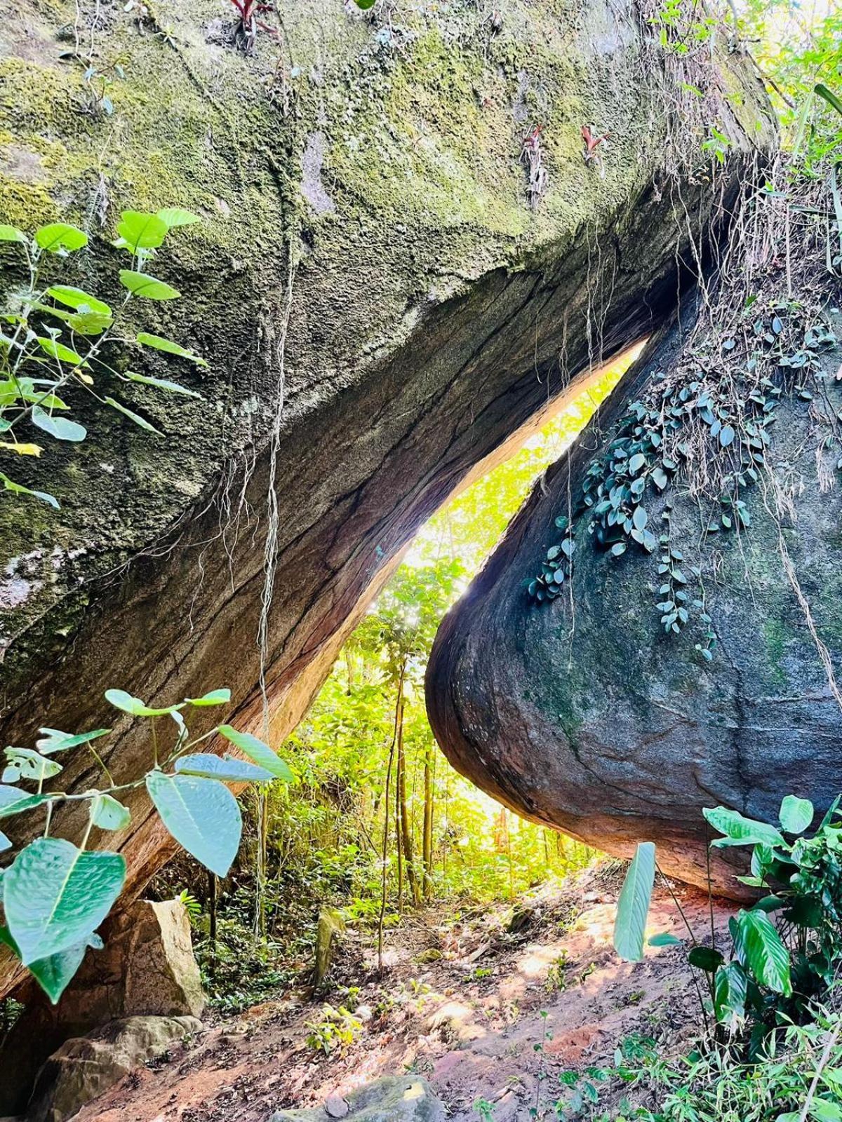 Pousada E Restaurante Alto Da Serra 博尼托 外观 照片
