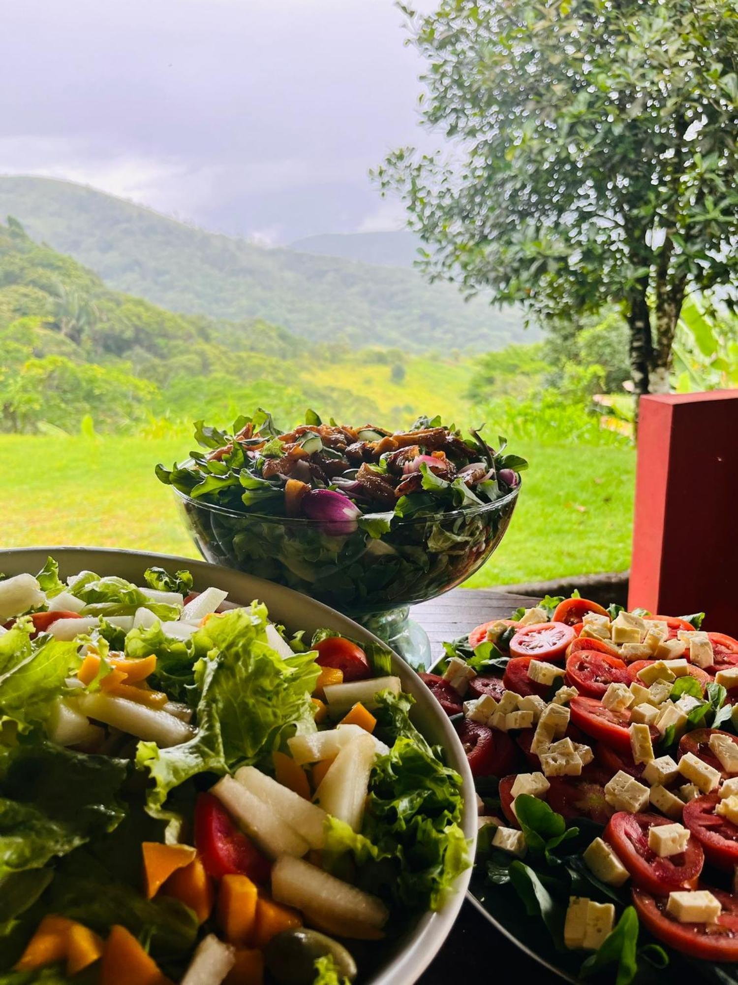 Pousada E Restaurante Alto Da Serra 博尼托 外观 照片