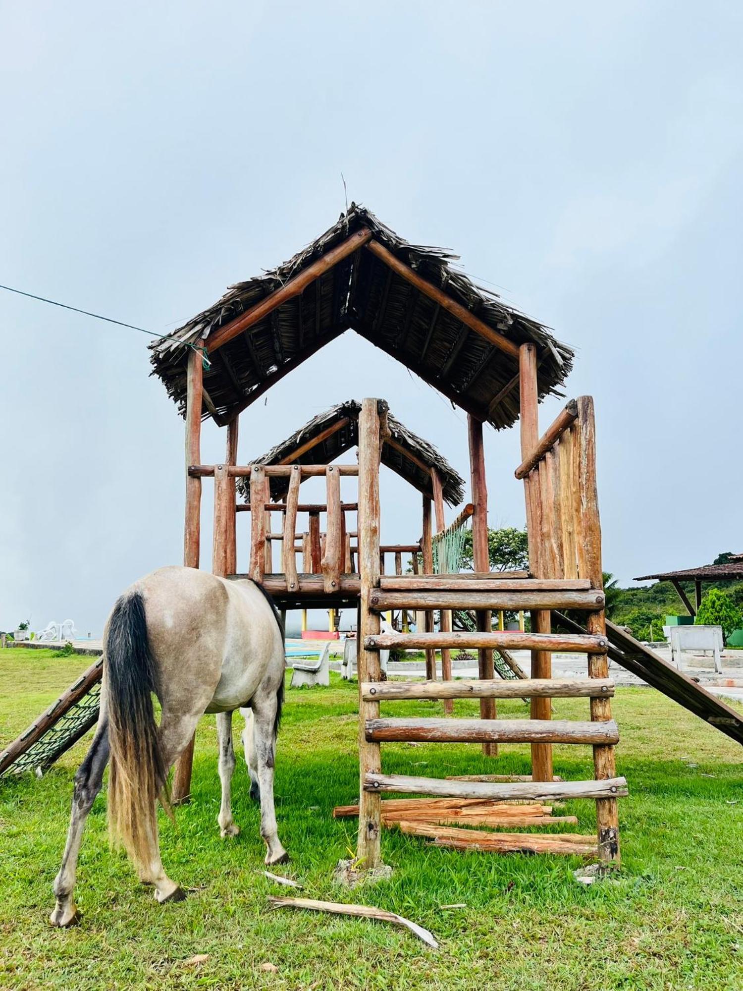 Pousada E Restaurante Alto Da Serra 博尼托 外观 照片